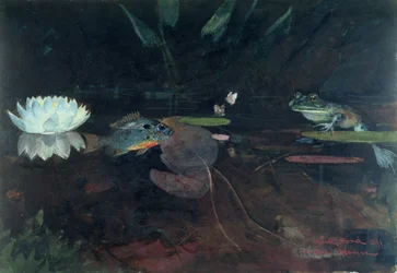 Mink Pond